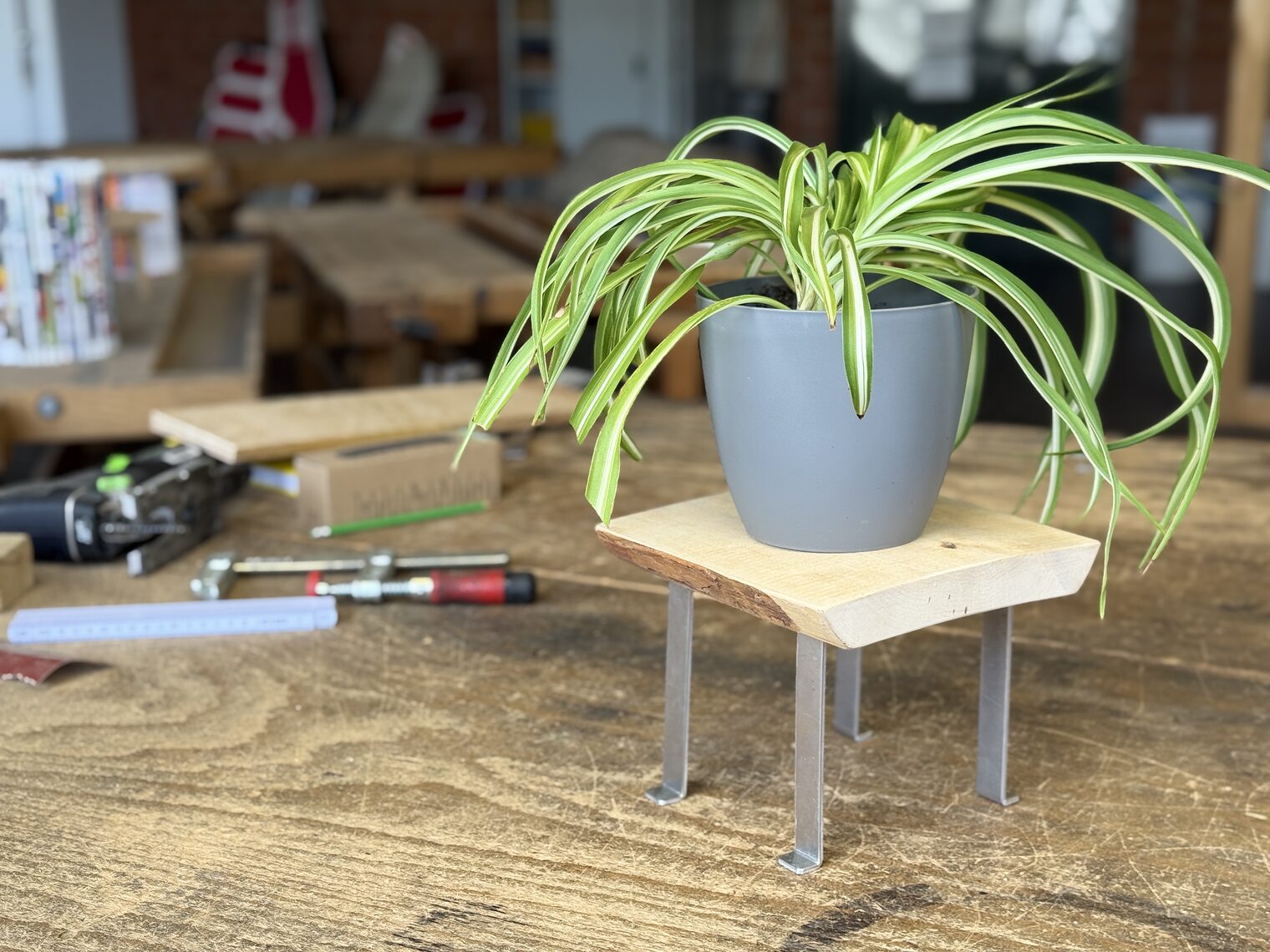 Blumenhocker mit Pflanze